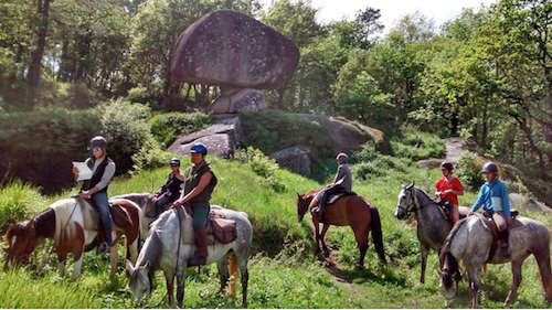 Actuator Uitgaand Bevriezen Paardrijden op vakantie in Zuid Frankrijk